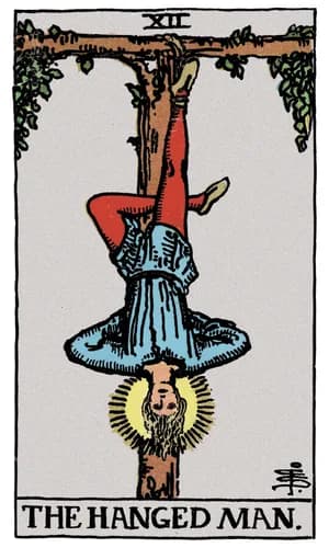 Viselec — tarot karta
