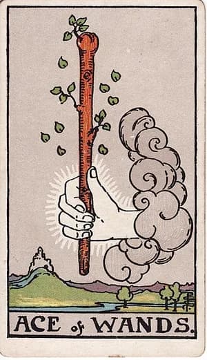 Eso holí — tarot karta